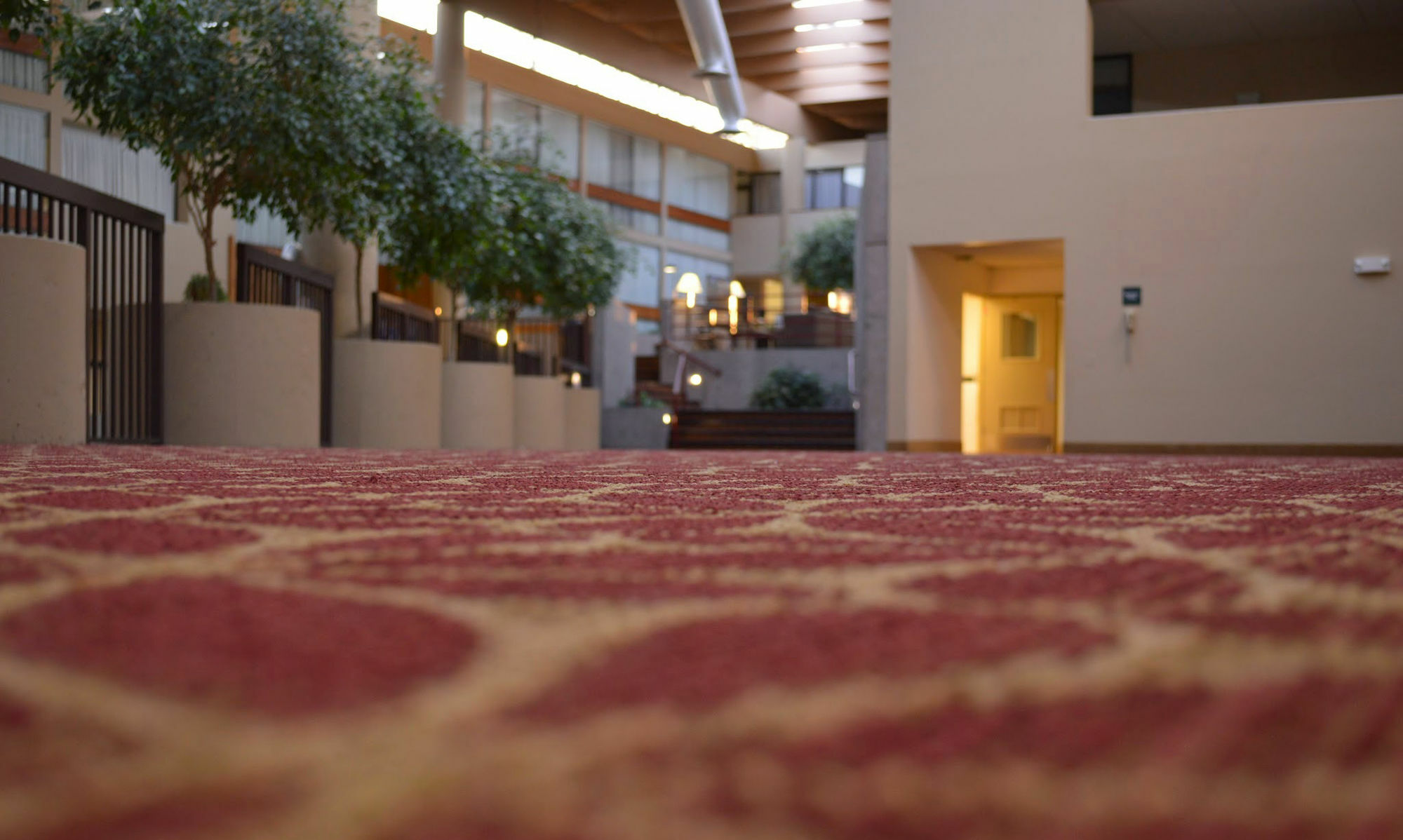 Hotel Muscatine Εξωτερικό φωτογραφία